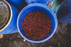 Ethiopia Arbegona Rumudamo Anaerobic Washed - Brew Something Remarkable